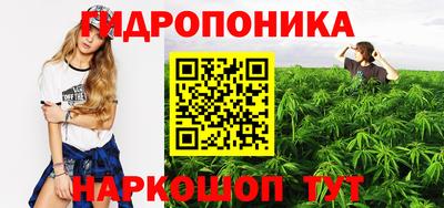 хмурый Тара