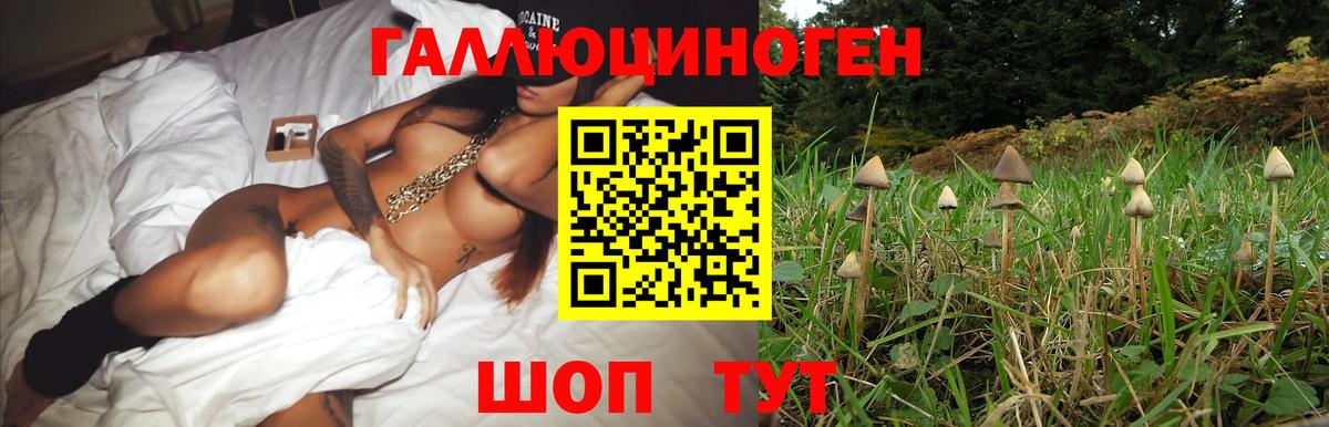 Галлюциногенные грибы MAGIC MUSHROOMS  Вход с VPN  Псилоцибиновые грибы мухоморы  даркнет сайт  Североуральск 